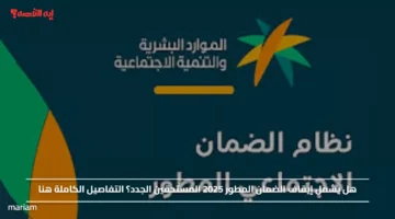 هل يشمل إيقاف الضمان المطور 2025 المستحقين الجدد؟ التفاصيل الكاملة هنا